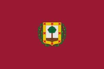 Bandera de la provincia de vizcaya